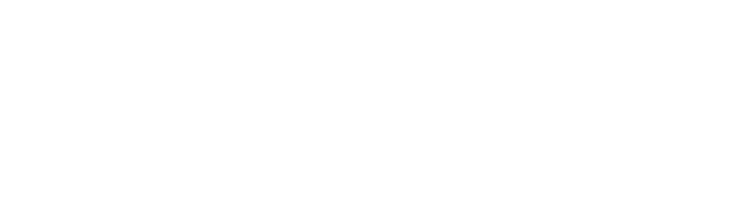 Insight New Media
